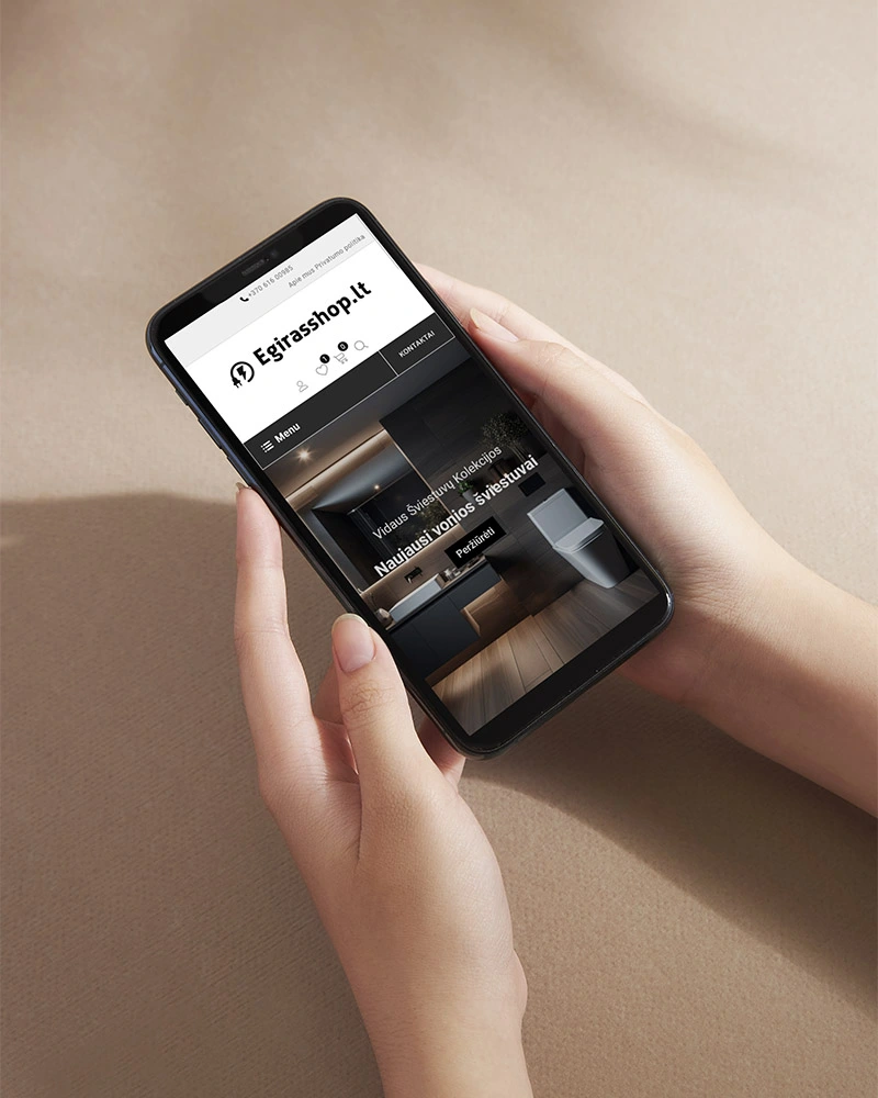 Turinio valdymo sistema