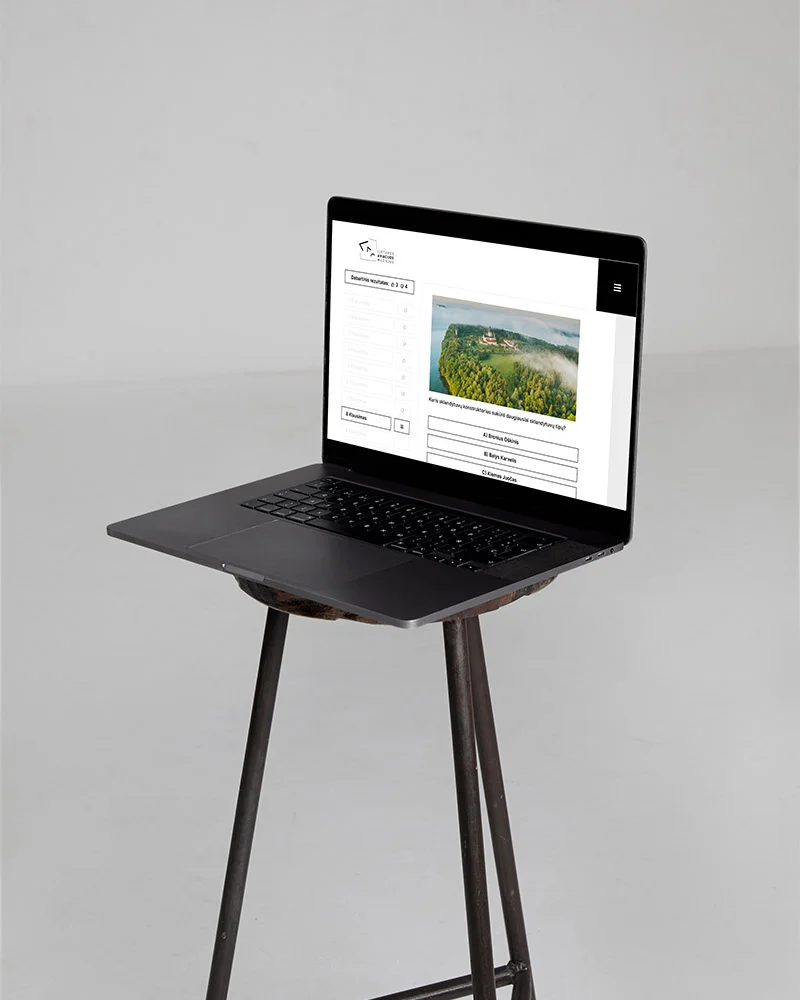 INTERAKTYVI DUOMENŲ ATVAIZDAVIMO SISTEMA