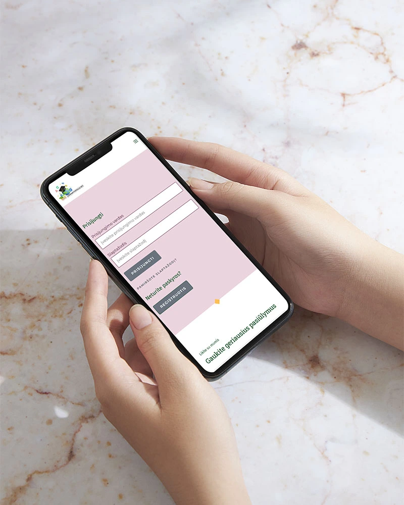 Back-end programavimas