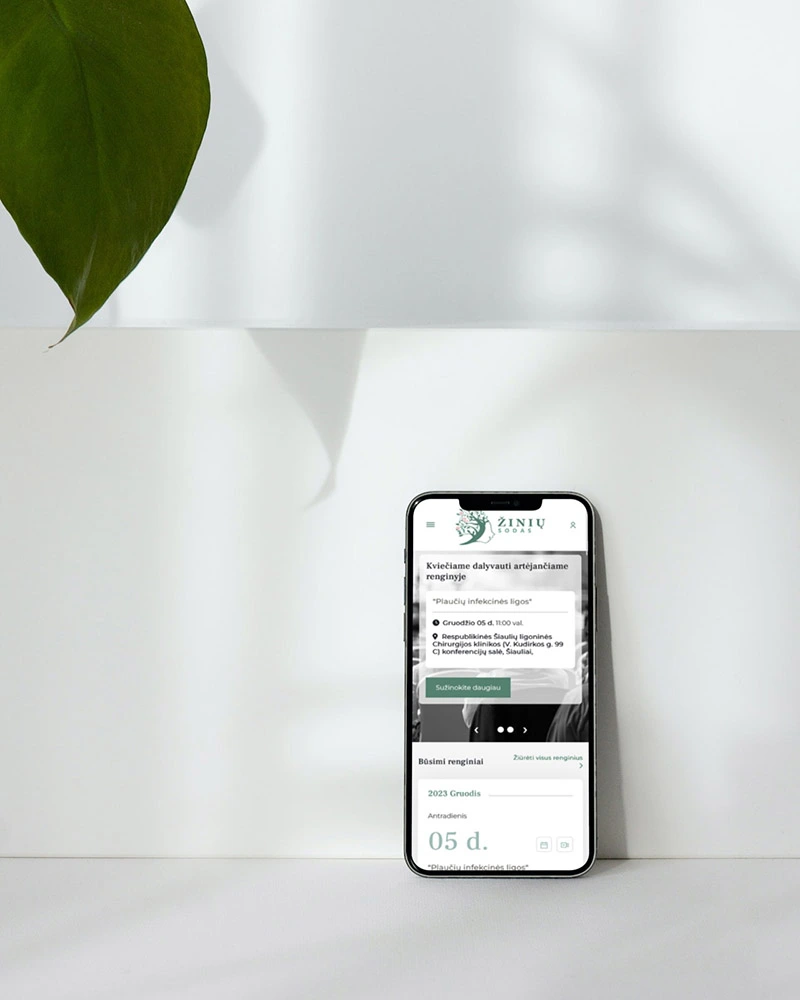 Turinio valdymo sistema