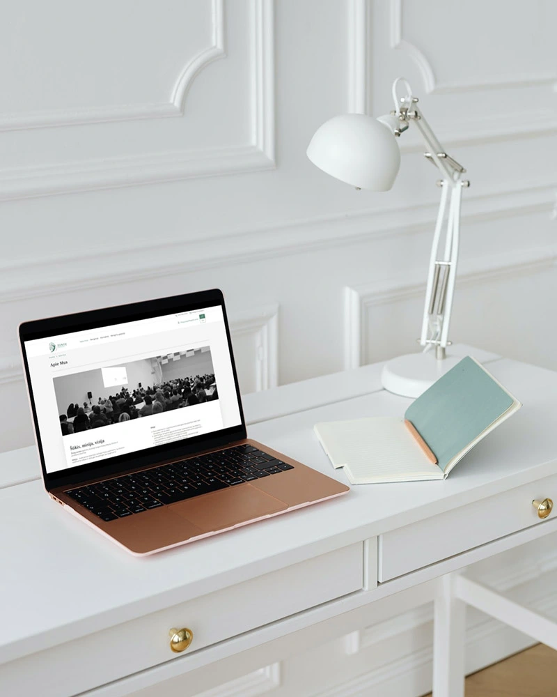 Back-end programavimas